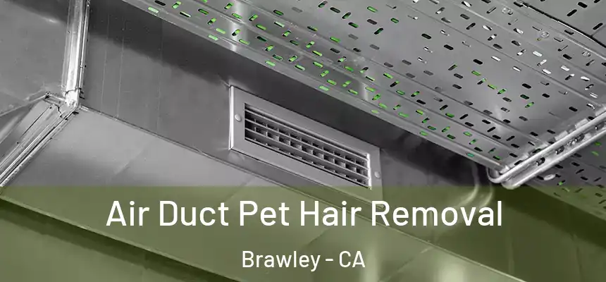  Air Duct Pet Hair Removal Brawley - CA