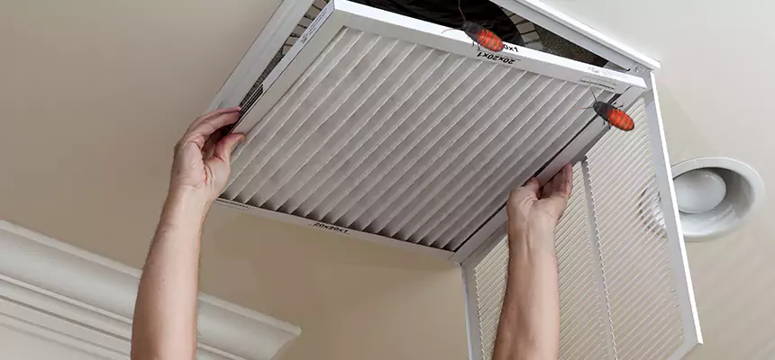 Preventive Cockroach-Proofing for Ducts in Brawley