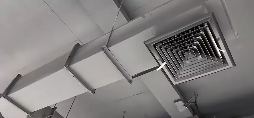 Our Pest Removal From Ducts Services in Brawley, CA