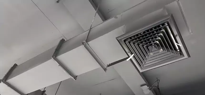 Our Rodent Droppings In Vents Services in Brawley, CA