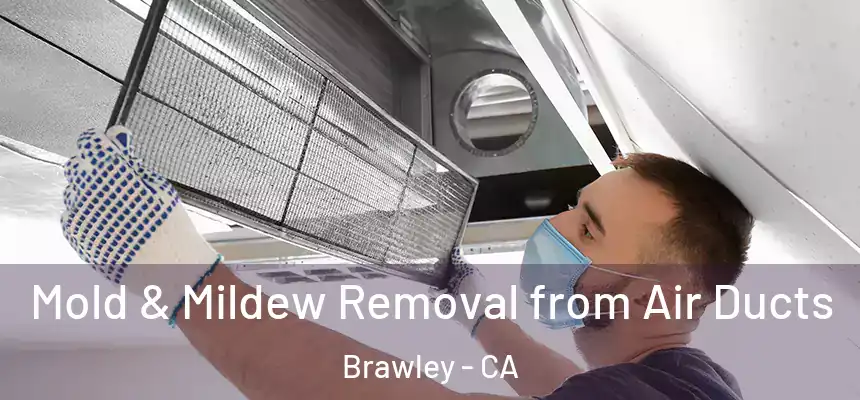  Mold & Mildew Removal from Air Ducts Brawley - CA