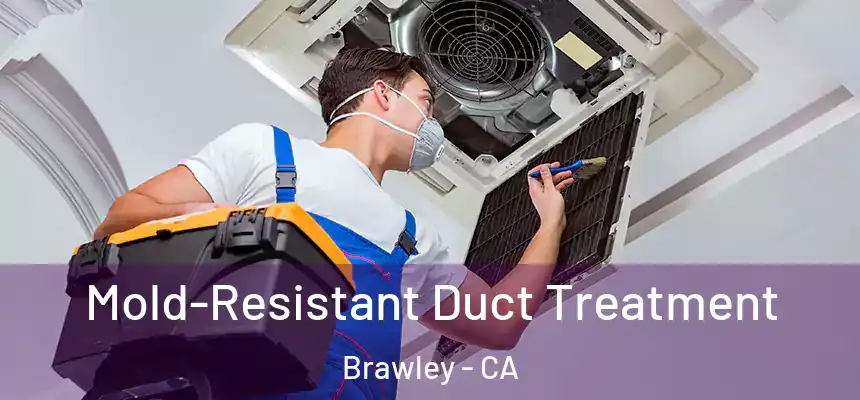  Mold-Resistant Duct Treatment Brawley - CA