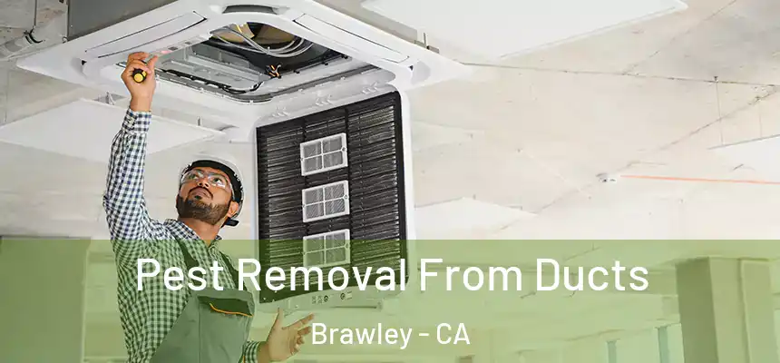 Pest Removal From Ducts Brawley - CA