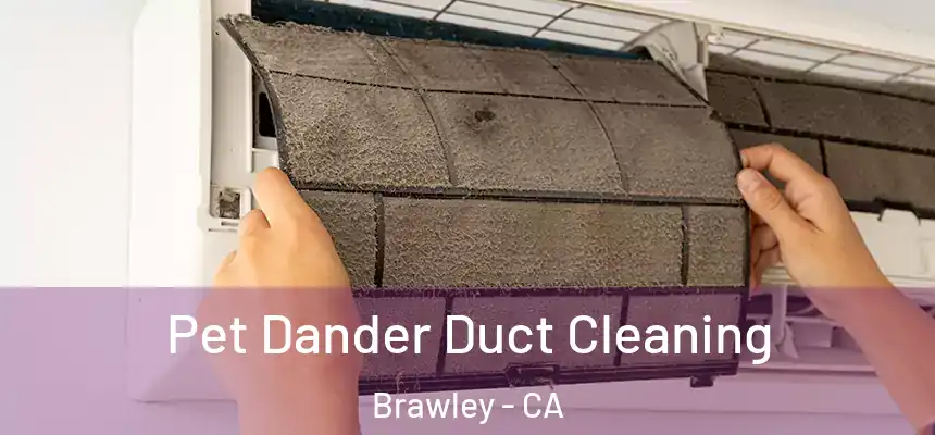  Pet Dander Duct Cleaning Brawley - CA