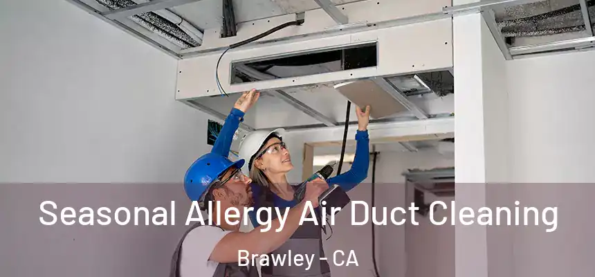  Seasonal Allergy Air Duct Cleaning Brawley - CA