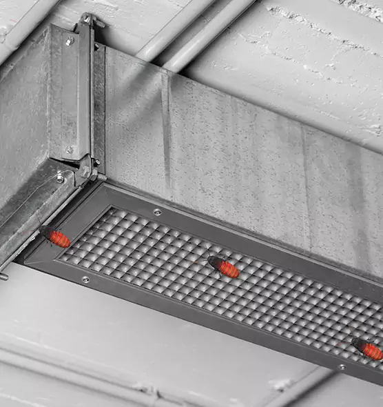 Affordable Insect Removal from Air Ducts in Brawley, CA