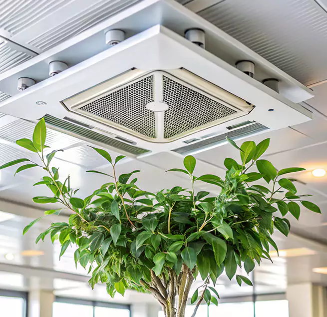 Why Homeowners & Businesses Trust Us in Brawley, CA?